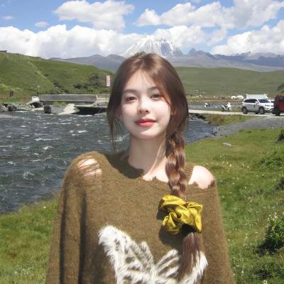 龙在江湖国语